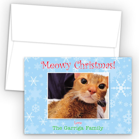 Snowflakes 2 Photo Upload Holiday Card