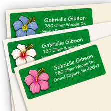 Hibiscus Assortment Pack