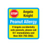 Allergy Alert Labels Square - Peel & Stick Allergy Alert Labels - Blue