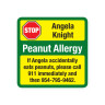 Allergy Alert Labels Square - Peel & Stick Allergy Alert Labels - Green