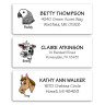 Birds, Fish, Cows and More Address Labels